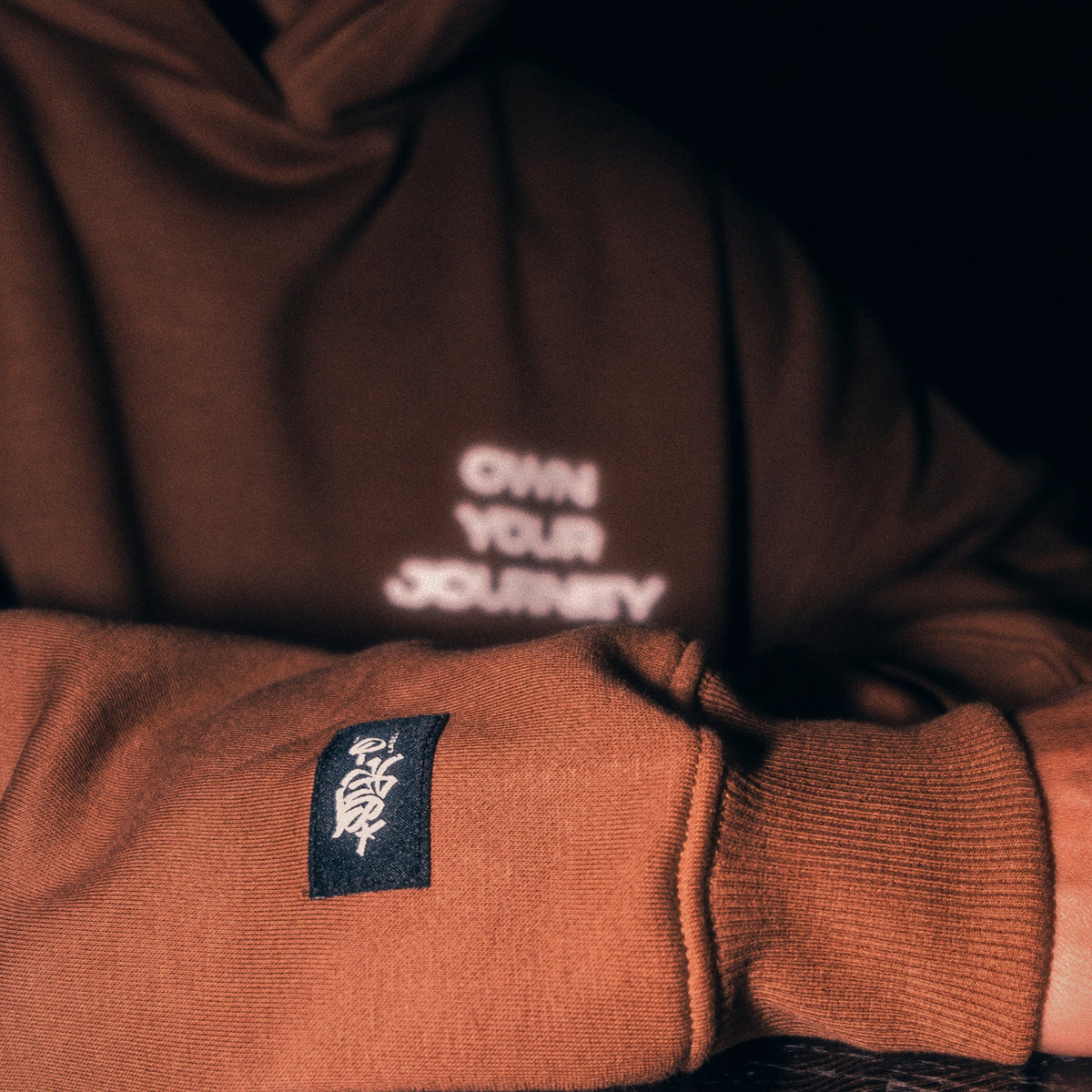 Own Your Journey Hoodie (Brown)